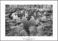 2016_05_07_0085124 Mirror